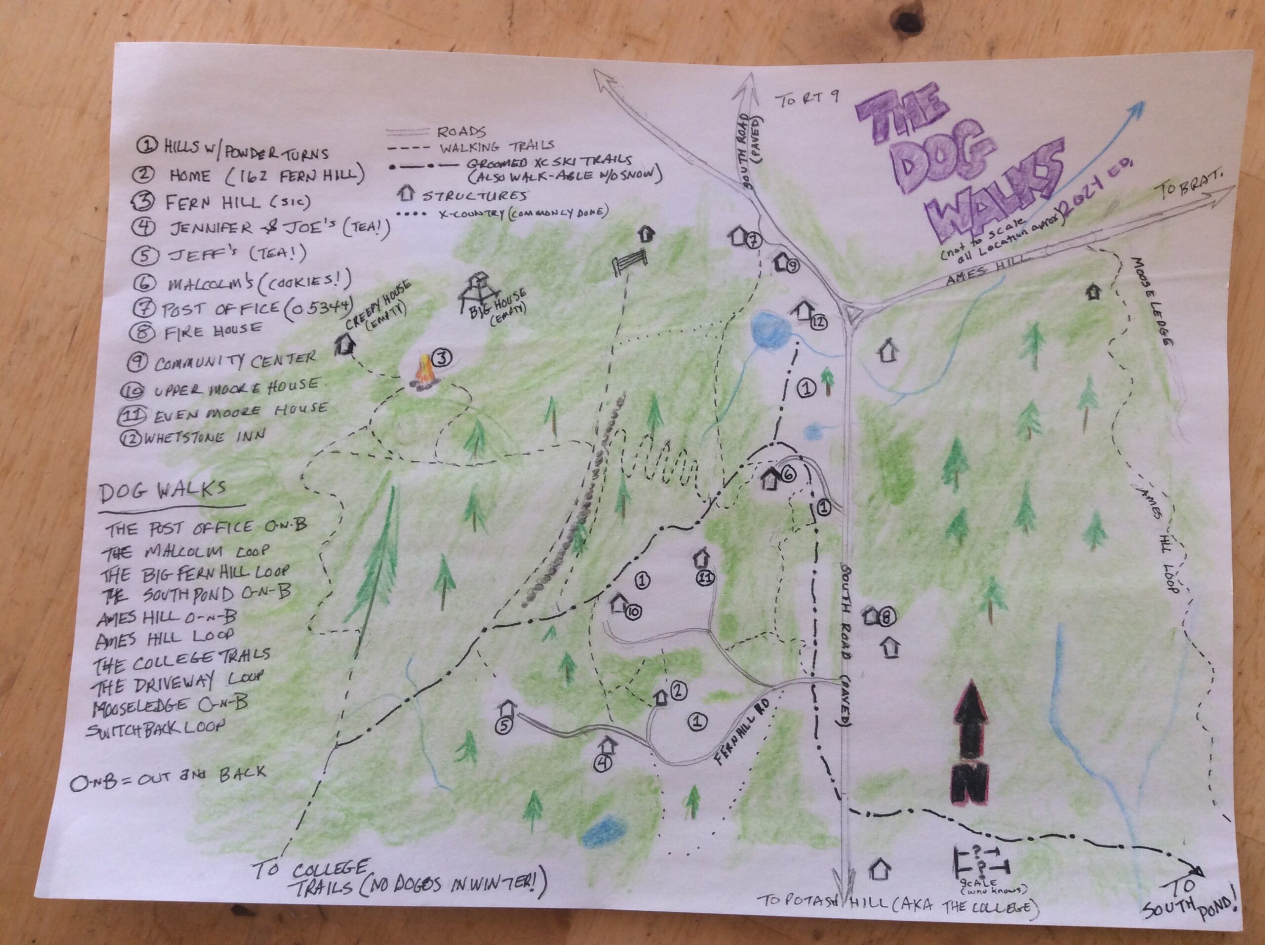 Graphic shows a hand drawn map of locations around Fern Hill that the author often walks with Cora The Dog